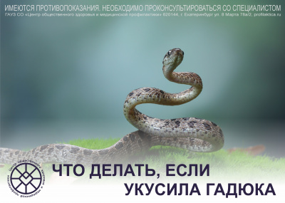 Если укусила гадюка