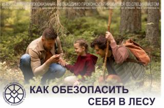 Как обезопасить себя в лесу Как обезопасить себя в лесу